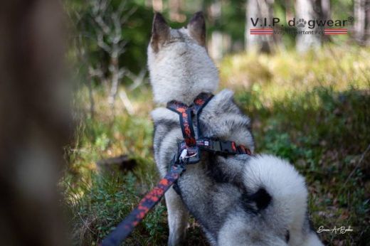 Bilde av VIP Dogwear HUNTING Tracker Pro 